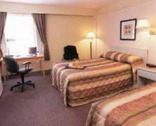 Paradise & Conference Centre Hotel 3*