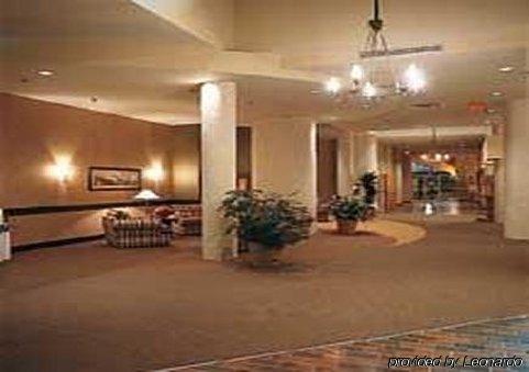 Hotel Paradise & Conference Centre