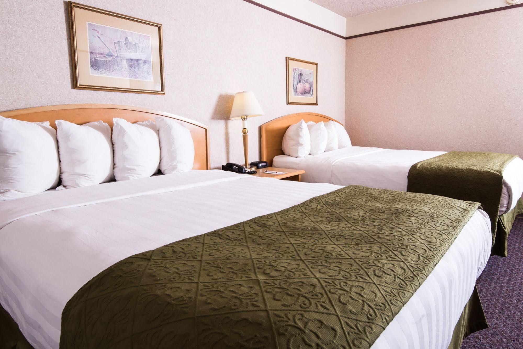 Hotel Paradise & Conference Centre 3*